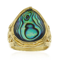 Abalone-Muschel-Silberring (Art of Nature)