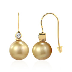 Goldene Südseeperlen-Goldohrringe (TPC)