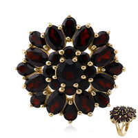 Granat-Silberring