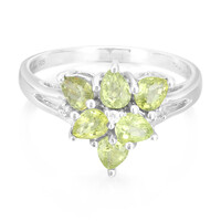 Paraiba-Turmalin-Silberring