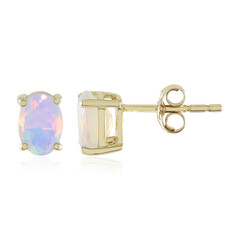 Welo-Opal-Goldohrringe
