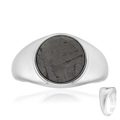 Aletai-Meteorit-Silberring
