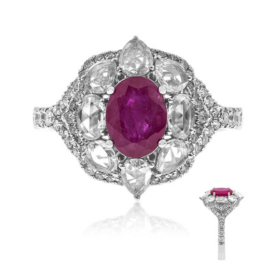 AAA-Mosambik-Rubin-Goldring (CIRARI)