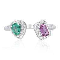 Edelstein-Goldring (CIRARI)