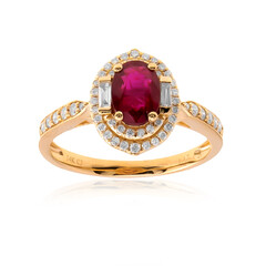 AAA-Mosambik-Rubin-Goldring (CIRARI)