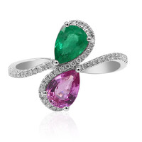 Edelstein-Goldring (CIRARI)