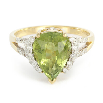 Paraiba-Turmalin-Goldring (AMAYANI)