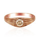 VS1 Argyle-Rose de France-Brillant-Goldring (Annette)