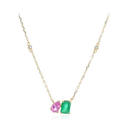 Edelstein-Goldcollier (CIRARI)