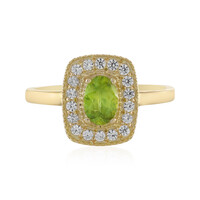 Sphen-Goldring