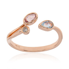 Edelstein-Goldring (CIRARI)