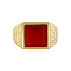 Roter Onyx-Silberring