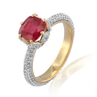 Madagaskar-Rubin-Goldring (de Melo)