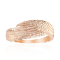 Silberring