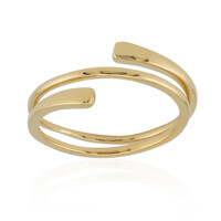 Silberring