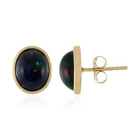 Mezezo-Opal-Goldohrringe (Adela Gold)