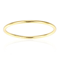Silberring