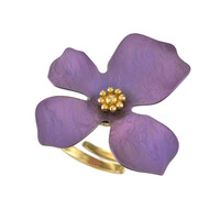 Titanring