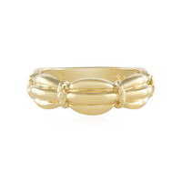 Silberring