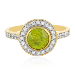 Sphen-Goldring
