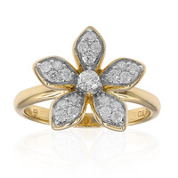 SI1 (G) Brillant-Goldring