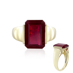 Madagaskar-Rubin-Goldring (de Melo)