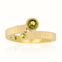 Kansas-Pallavin-Goldring