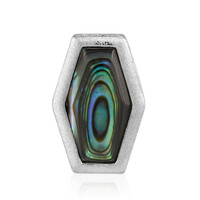 Abalone-Muschel-Silberanhänger