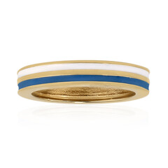 Silberring