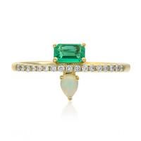 Edelstein-Goldring (CIRARI)