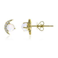 AAA-Welo-Opal-Goldohrringe (CIRARI)