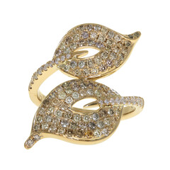 SI2 Fancy-Brillant-Goldring (CIRARI)