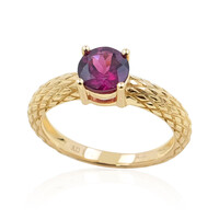 Magenta-Granat-Goldring (de Melo)