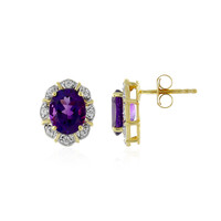 Uruguay-Amethyst-Silberohrringe