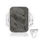 Aletai-Meteorit-Silberring
