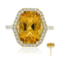 Citrin-Goldring (CIRARI)
