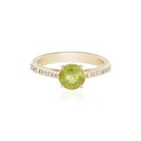 Sphen-Goldring (AMAYANI)