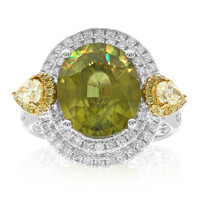 Sphen-Goldring (Smithsonian)