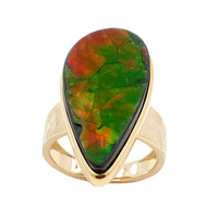 Ammolith-Goldring (de Melo)