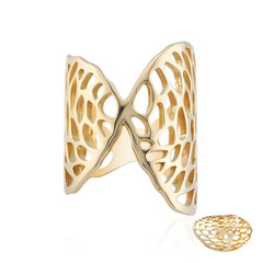 Silberring