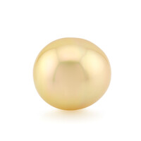 Goldene Kabira-Südseeperle (TPC)