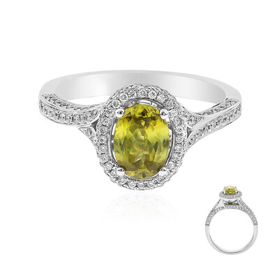 Sphen-Goldring (CIRARI)