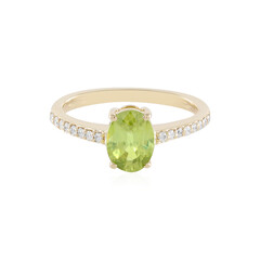 Sphen-Goldring (AMAYANI)