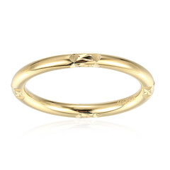 Silberring