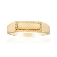 Silberring