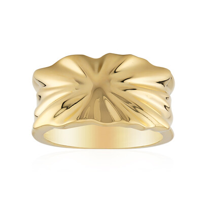 Silberring