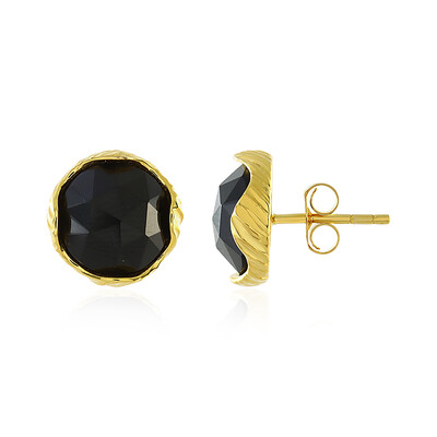 Schwarzer Onyx-Silberohrringe