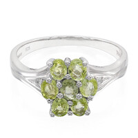 Paraiba-Turmalin-Silberring