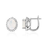 Welo-Opal-Platinohrringe