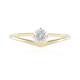 IF (G) Brillant-Goldring (de Melo)